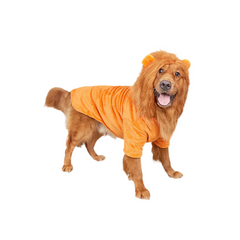 Lion Costume