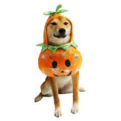 Pumpkin Costume for Dogs