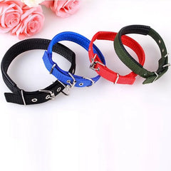 Adjustable Nylon Strap Dog Collar