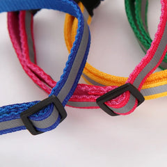 Nylon Striped Luminous Collar