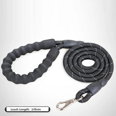 Thick Nylon Dog Leash