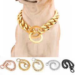 Luxury Chain Collar