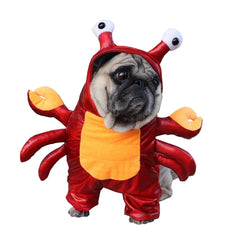 Crab Costume