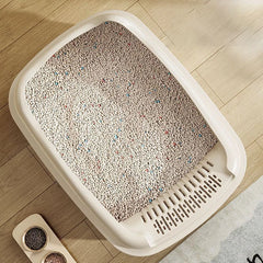 Cat Litter Box for Small Cats with Scoop