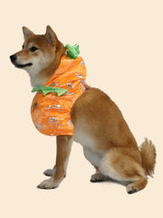 Pumpkin Costume for Dogs