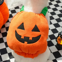 Pumpkin Costume for Cats and Dogs