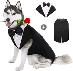 Tuxedo Costume