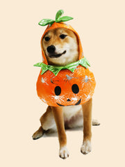 Pumpkin Costume for Dogs