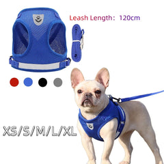 Dog Harness And Leash