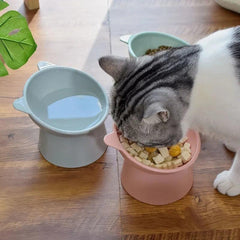 Raised Food Bowl