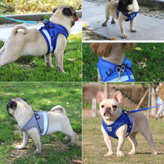 Dog Harness And Leash