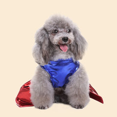 Superdog Costume