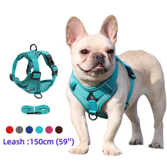 Harness and Leash Set