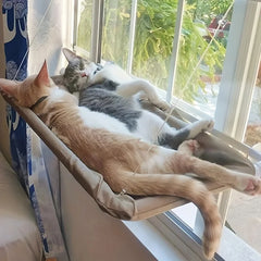 Window Hammock