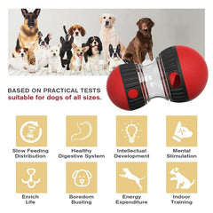 Dog Food Elliptical Track Rolling Ball