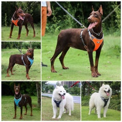 Breathable Mesh Dog Harness