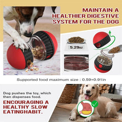 Dog Food Elliptical Track Rolling Ball