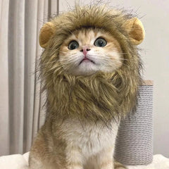 Lions Mane Cat Wig