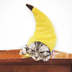 Banana Hat