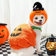 Pumpkin Costume for Cats and Dogs