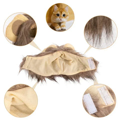 Lions Mane Cat Wig