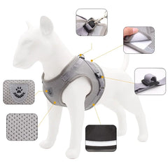 Dog Harness And Leash